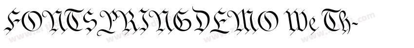 FONTSPRINGDEMO We Th字体转换